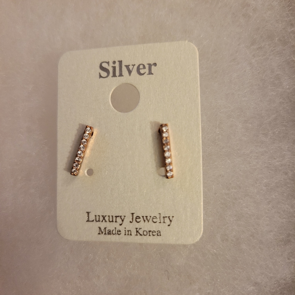 Silver Brand Earrings